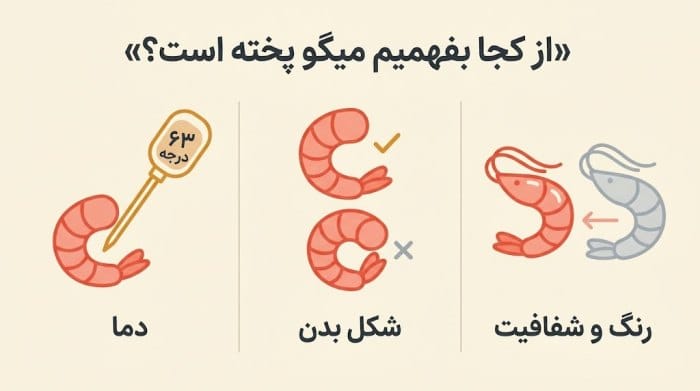 اینفوگرافیک از کجا بفهمیم میگو دقیقاً پخته است