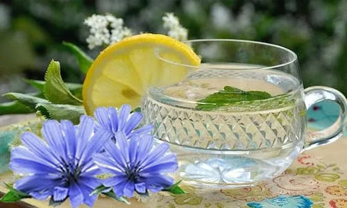 شربت کاسنی