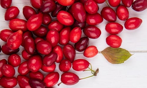 زغال اخته به افزایش تمرکز کمک میکند .