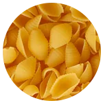 گوش ماهی کوچک