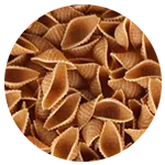 Whole Wheat Conchiglie