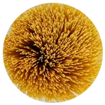 Wheat Fiber Spaghetti