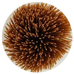 Whole Wheat Spaghetti